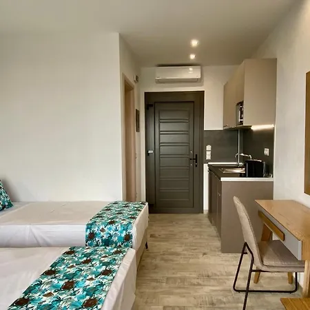 Thea Luxury Apartahotel 4*